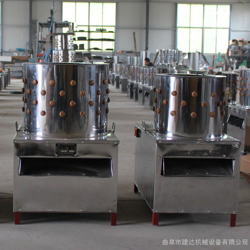 低成本入局商機(jī)首選 全自動不銹鋼家禽脫毛機(jī)革命，你的效率“美譽(yù)”起點